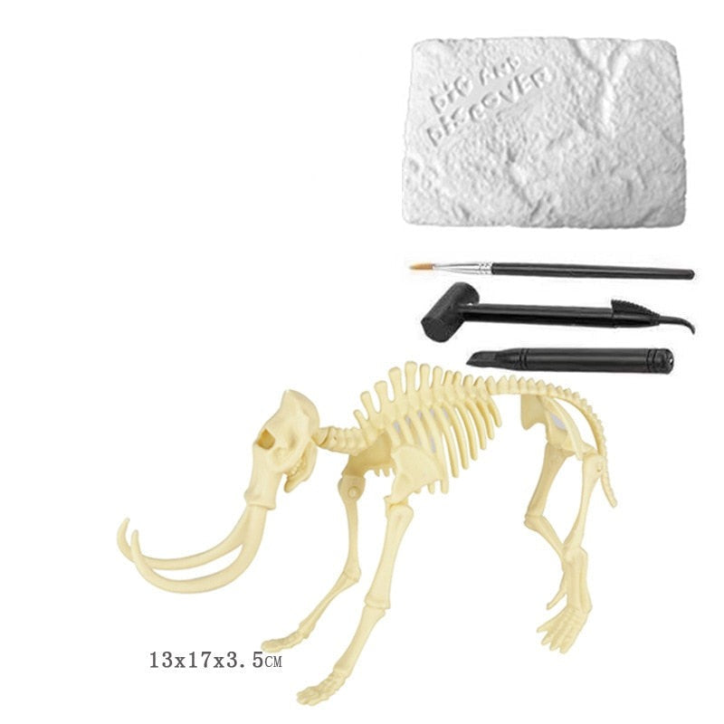 Brinquedo Kit Escavação Fósseis Mundo Dinossauro